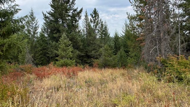 10313 Spring Valley Rd, Newport, WA 99156
