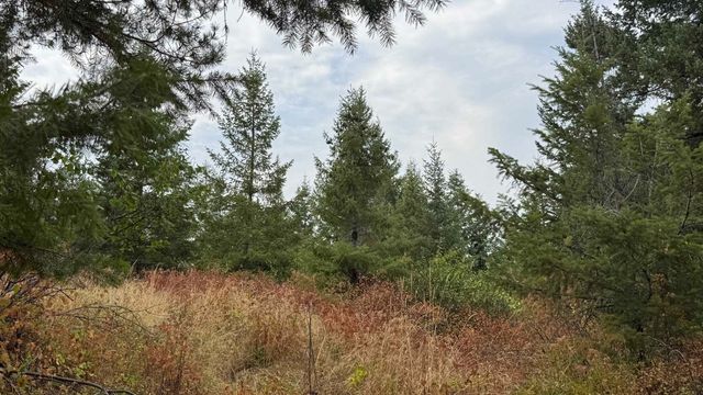 10313 Spring Valley Rd, Newport, WA 99156