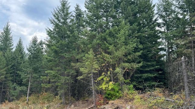 10313 Spring Valley Rd, Newport, WA 99156