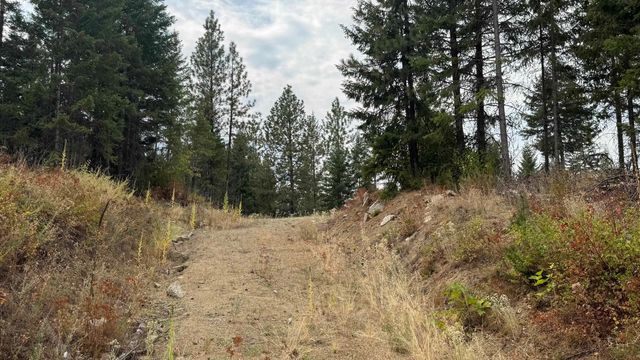 10313 Spring Valley Rd, Newport, WA 99156