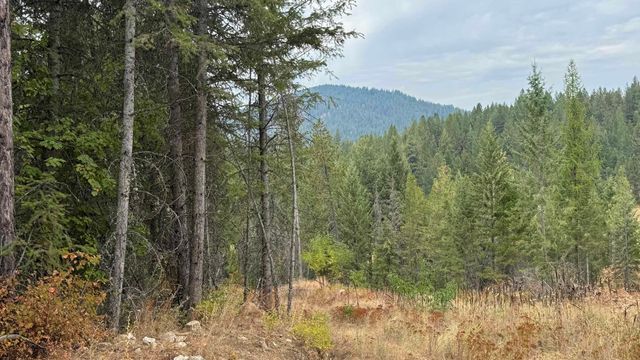 10313 Spring Valley Rd, Newport, WA 99156