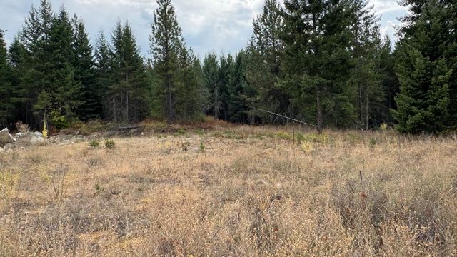 10313 Spring Valley Rd, Newport, WA 99156
