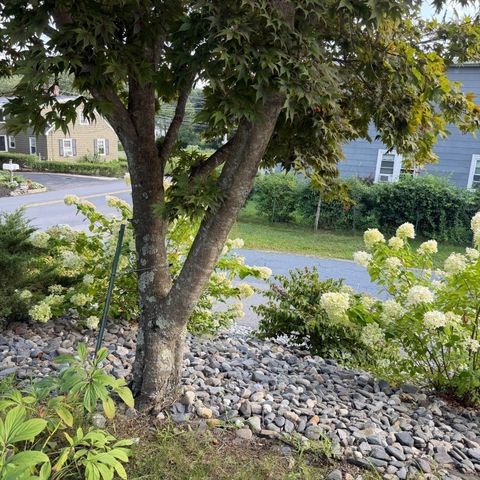 40 Marshall Rd, Fitchburg, MA 01420