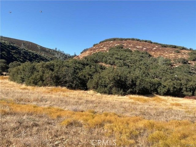 7 Paulsen Road, Lockwood, CA 93426