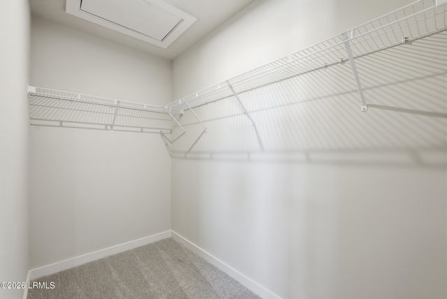 447 Rifle Road, Ridgeland, SC 29936