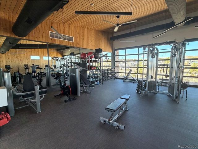 650 Simmental Loop, Castle Rock, CO 80104