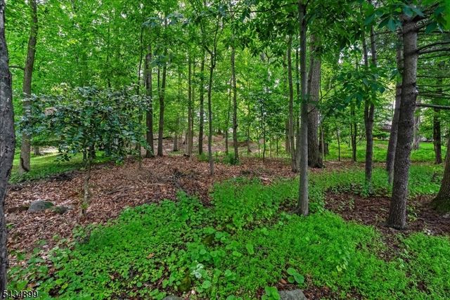 1110 Minisink Way, Westfield Town, NJ 07090