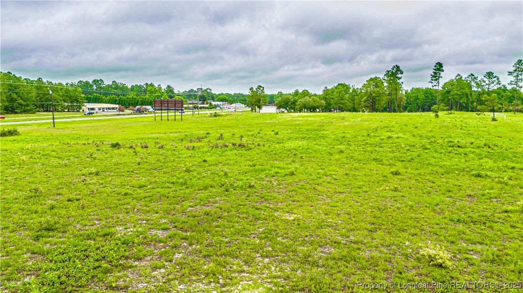 tbd US 1 Highway, Vass, NC 28394 — photo 11