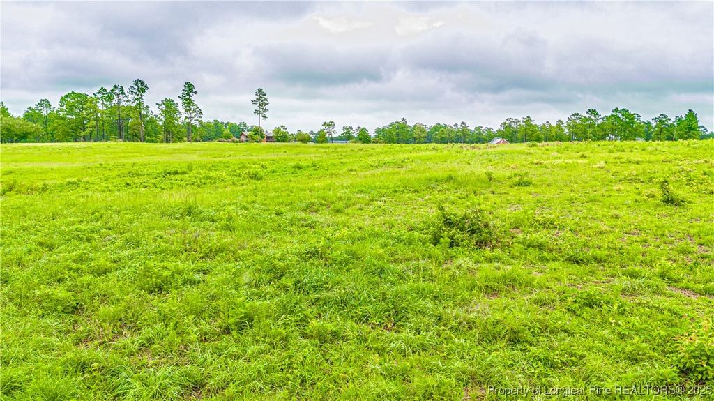 tbd US 1 Highway, Vass, NC 28394 — photo 14