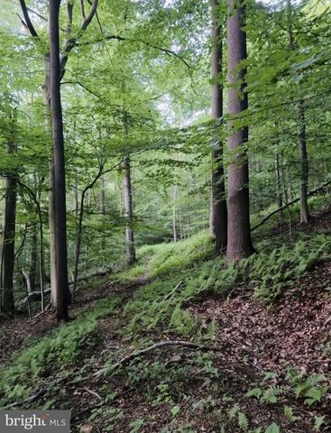 1 LAUREL RIDGE LN, Wilmimgton, DE 19807