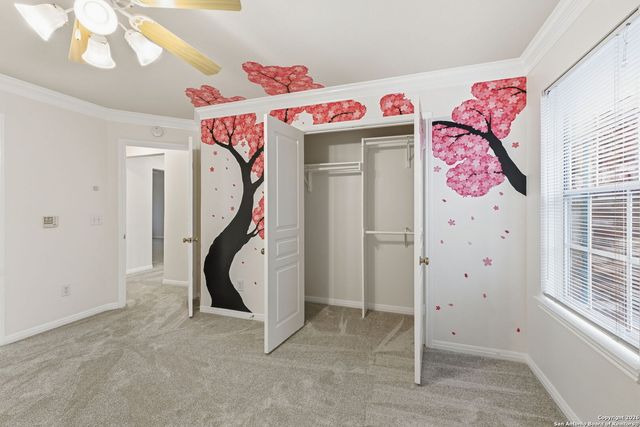 8810 London Heights, San Antonio, TX 78254