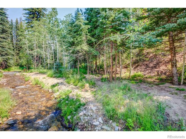 1142 Streamside Drive, Glen Haven, CO 80532