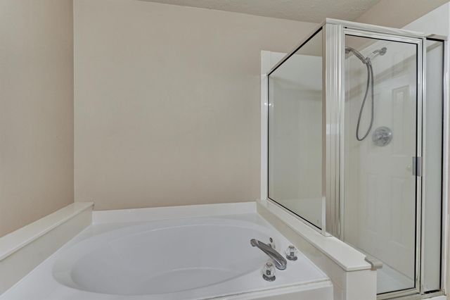 231 Blushwood Place, The Woodlands, TX 77382