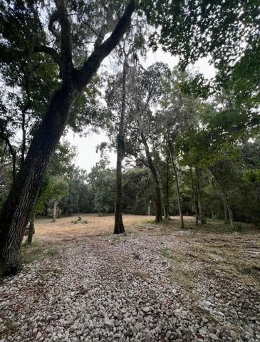 33234 CHIPCO RANCH ROAD, Dade City, FL 33523