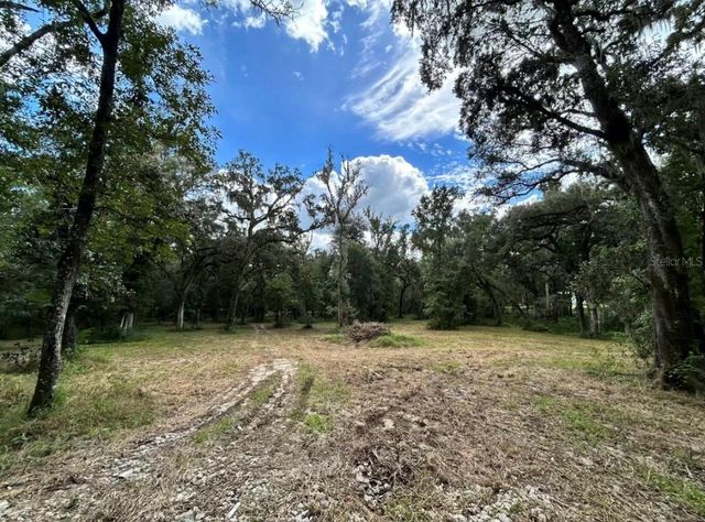 33234 CHIPCO RANCH ROAD, Dade City, FL 33523