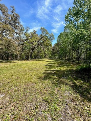 33234 CHIPCO RANCH ROAD, Dade City, FL 33523