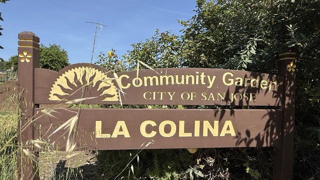 361 Allegan Circle, San Jose, CA 95123