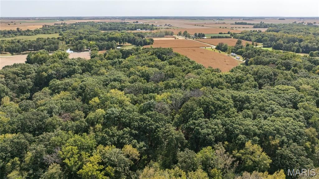 Image 11 of property listing at 1468 F S Road, Medora, IL 62063