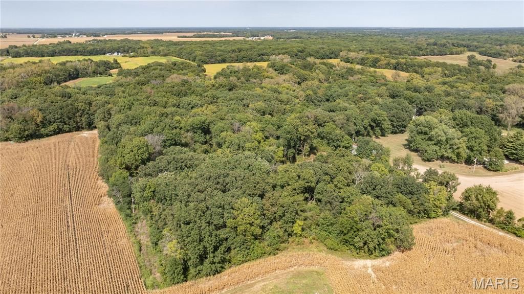 Image 3 of property listing at 1468 F S Road, Medora, IL 62063