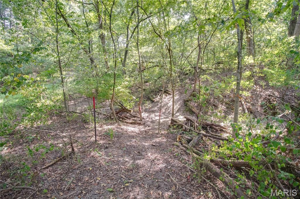 Image 57 of property listing at 1468 F S Road, Medora, IL 62063