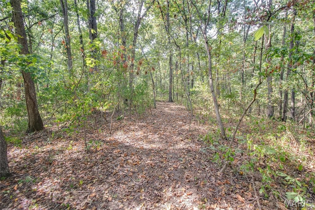 Image 58 of property listing at 1468 F S Road, Medora, IL 62063