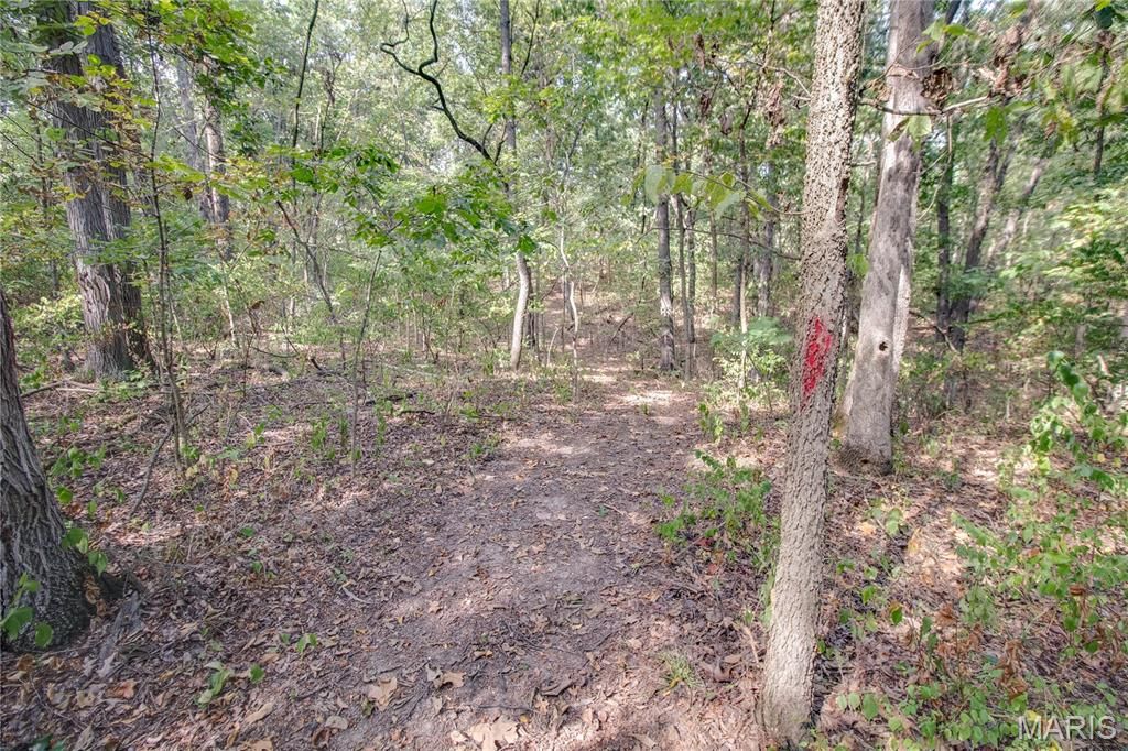 Image 59 of property listing at 1468 F S Road, Medora, IL 62063