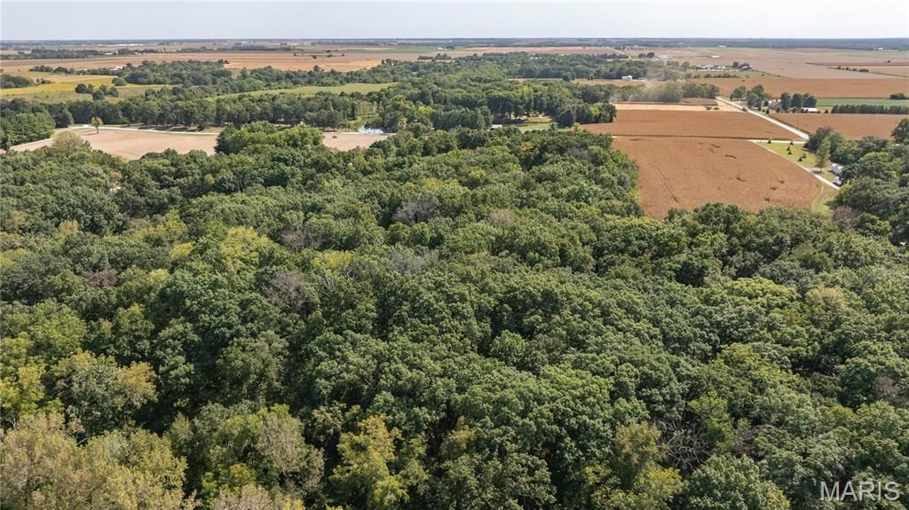 Image 10 of property listing at 1468 F S Road, Medora, IL 62063