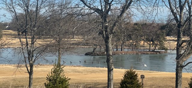 20540 W Spyglass Court, Kildeer, IL 60047