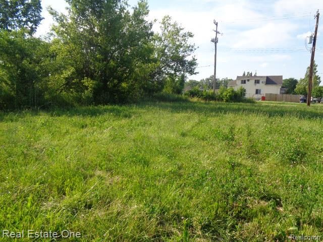 6041 Casmere Street, Hamtramck, MI 48212
