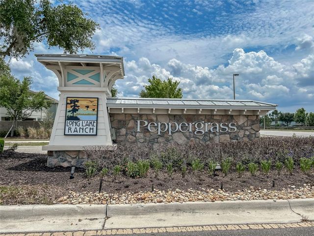 19312 ROSEATE DRIVE, Lutz, FL 33558
