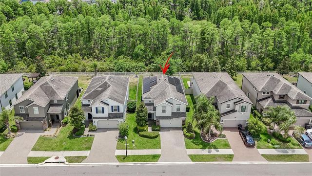 19312 ROSEATE DRIVE, Lutz, FL 33558