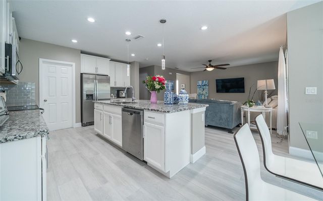 19312 ROSEATE DRIVE, Lutz, FL 33558