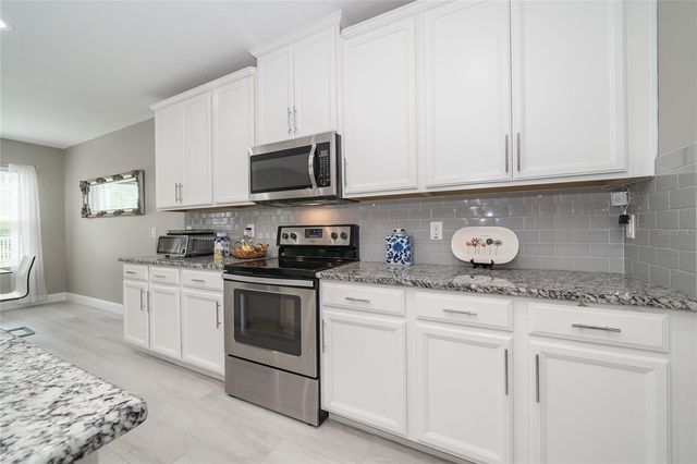 19312 ROSEATE DRIVE, Lutz, FL 33558