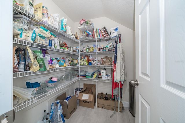 19312 ROSEATE DRIVE, Lutz, FL 33558