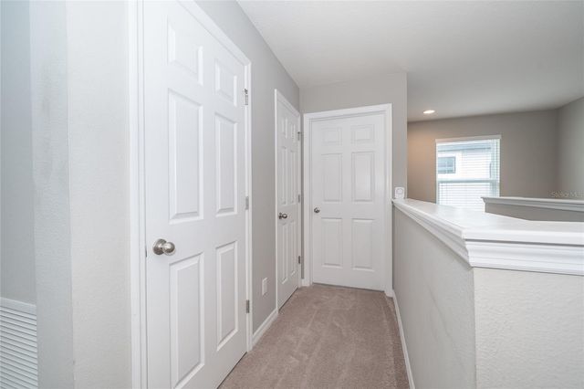 19312 ROSEATE DRIVE, Lutz, FL 33558