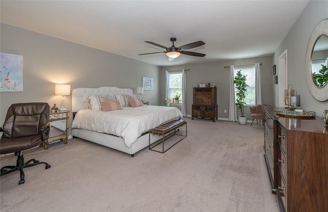 19312 ROSEATE DRIVE, Lutz, FL 33558