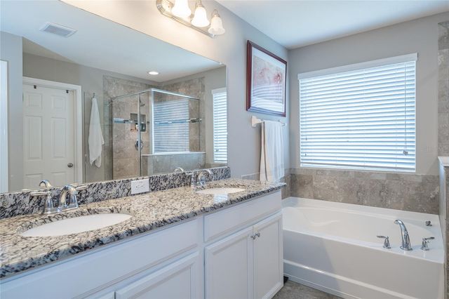 19312 ROSEATE DRIVE, Lutz, FL 33558