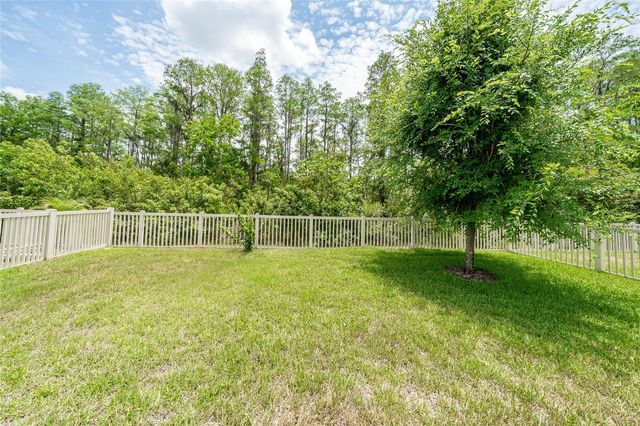 19312 ROSEATE DRIVE, Lutz, FL 33558
