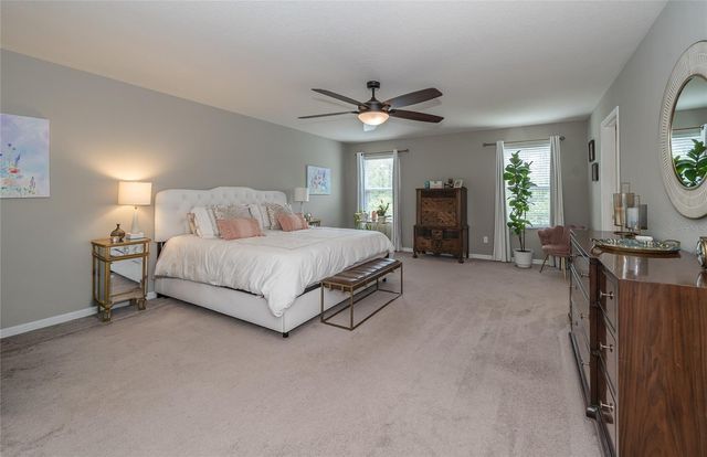 19312 ROSEATE DRIVE, Lutz, FL 33558