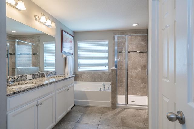 19312 ROSEATE DRIVE, Lutz, FL 33558