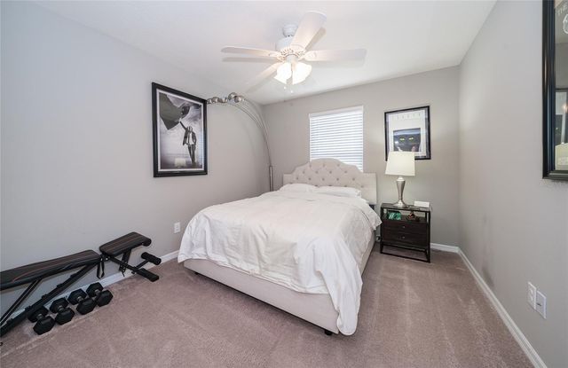 19312 ROSEATE DRIVE, Lutz, FL 33558