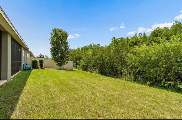 18307 TURNING LEAF CIRCLE, Land O Lakes, FL 34638
