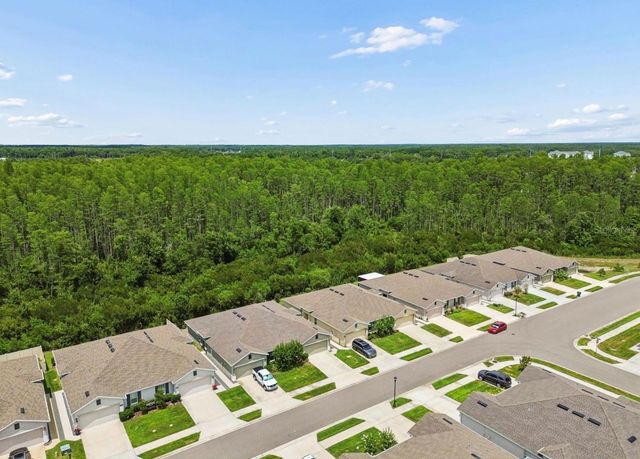 18307 TURNING LEAF CIRCLE, Land O Lakes, FL 34638
