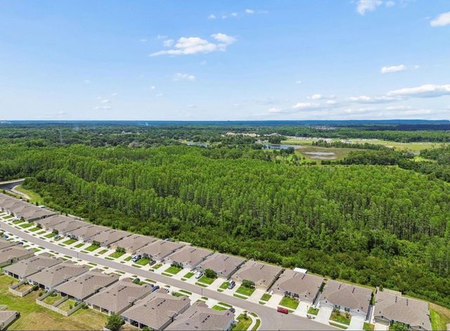 18307 TURNING LEAF CIRCLE, Land O Lakes, FL 34638