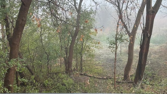 10806 S Shore Drive 109, Plymouth, MN 55441