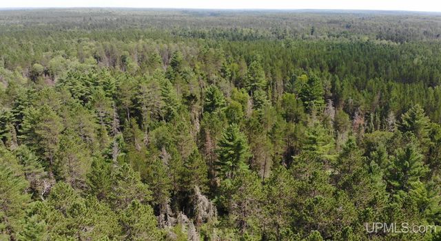 2072 Ff Hwy 16 Road, Iron River, MI 49935