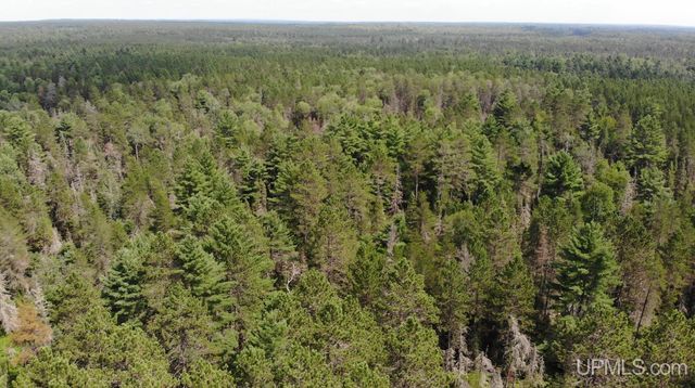 2072 Ff Hwy 16 Road, Iron River, MI 49935