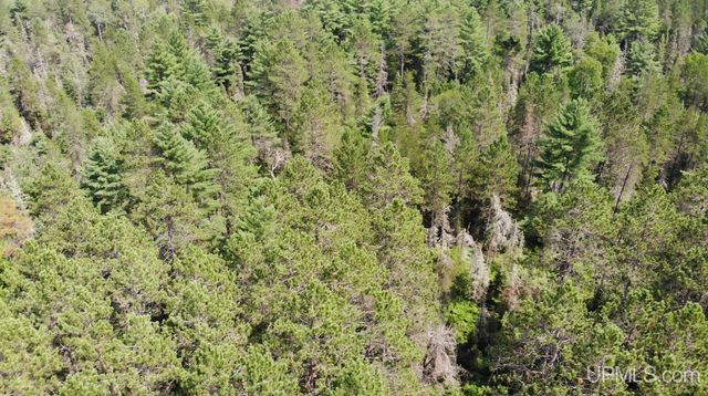 2072 Ff Hwy 16 Road, Iron River, MI 49935