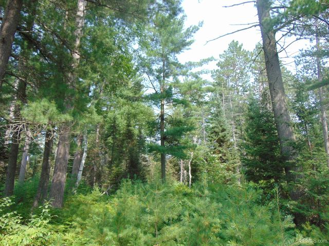 2072 Ff Hwy 16 Road, Iron River, MI 49935