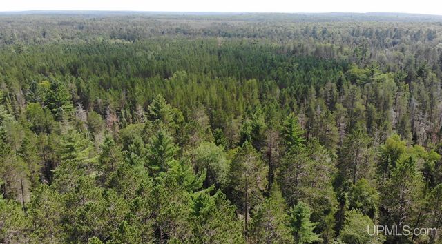 2072 Ff Hwy 16 Road, Iron River, MI 49935